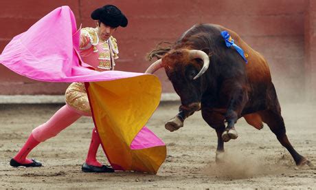 Bull Fighting: Bull Fighting History