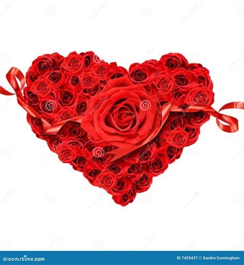 Red Roses In The Shape Of A Heart Stock Image - Image of soft, special ...