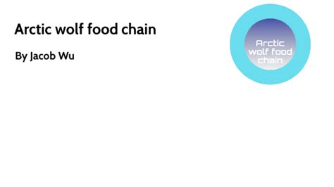 Arctic wolf food chain by Jacob Wu on Prezi