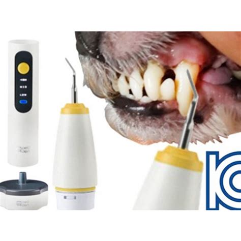 Petden Plus Ultrasonic Pet Tooth Care Scaler Tartar Remover Portable Dental Care – Korea E Market