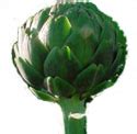 Artichoke