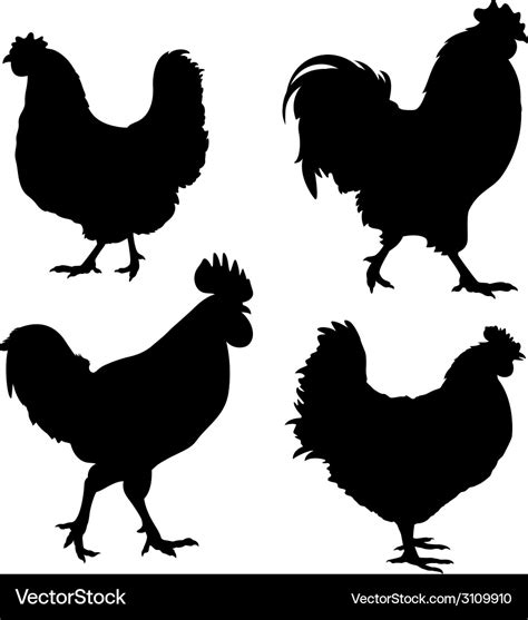 Chicken silhouette Royalty Free Vector Image - VectorStock