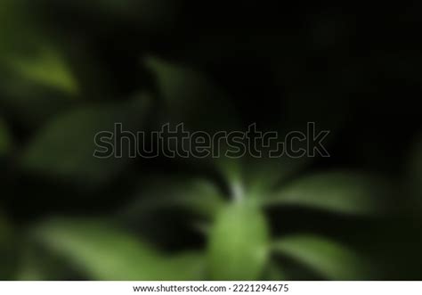 High Magnified Blurred Backgrounds Creatives Stock Photo 2221294675 | Shutterstock