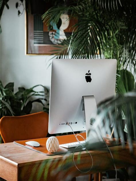 8 Best Plants for Your Office Desk