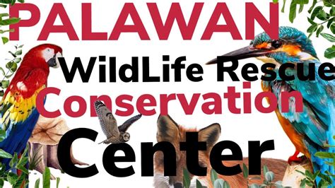 PALAWAN WILDLIFE RESCUE AND CONSERVATION CENTER - YouTube