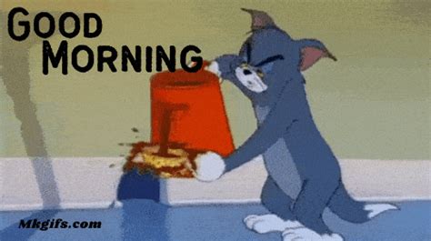 Hilarious Good Morning GIF Funny Images HD Downloads 2024 - Mk GIFs.com