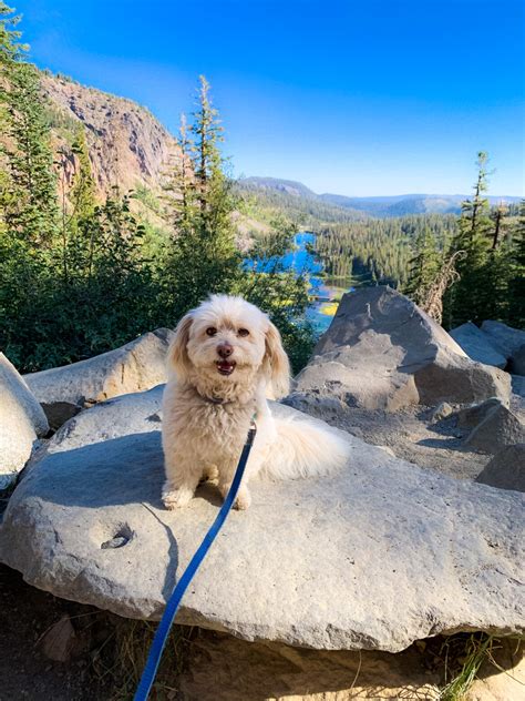 Hiking in Mammoth Lakes - Exploring Our World