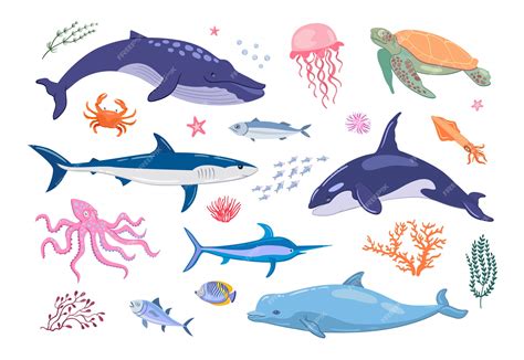 Ocean Animals