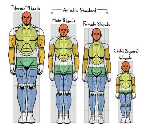 Pin by Jim on Ref. Anatomia | Body reference drawing, Body shape chart, Figure drawing