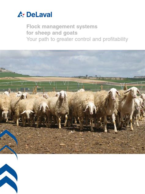 Flock Management Systems | PDF | Goat | Dairy