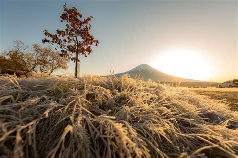 Premium Photo | Mount fuji sunrise