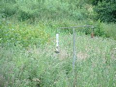 Category:Caerlaverock National Nature Reserve - Wikimedia Commons