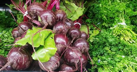 How to Get Beetroot Seeds | (2024)