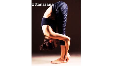 Uttanasana Steps