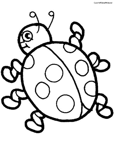 Ladybug Outline - Cliparts.co