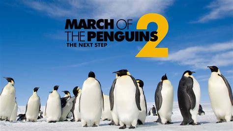 Is Documentary 'March of the Penguins 2: The Next Step 2017' streaming ...