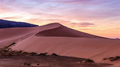 Sunrise at Coral Pink Sand Dunes_DSC3069 | State parks, Pink sand, Sand