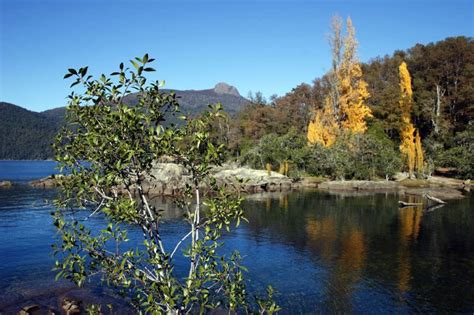 Lanín National Park: A Natural Wonderland in Argentine Patagonia | LAC Geo