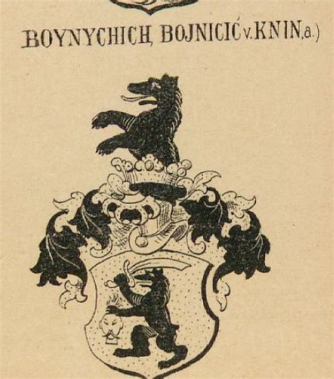 Boynychich Family Crest, Coat of Arms and Name History