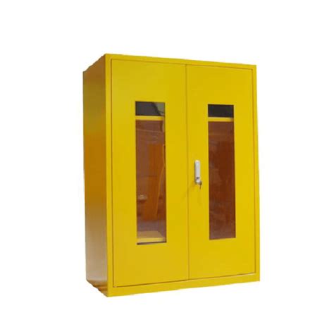 Ppe Storage Wall Cabinet | Cabinets Matttroy