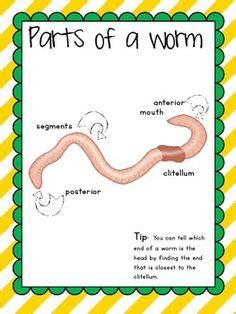 28 Best Worm Crafts images | Worm crafts, Crafts, Preschool crafts