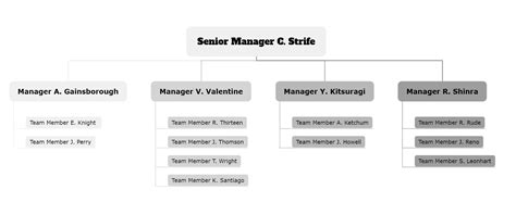 5 Organizational Chart Examples for your Business