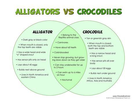 The Difference Between Alligators and Crocodiles