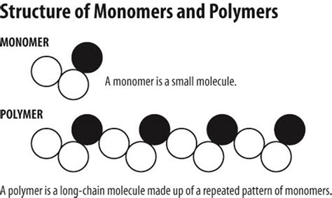 Guide To Monomer || Western Chemicals