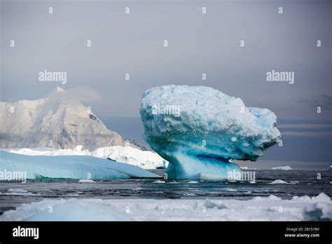 Icebergs off Detaille Island, Graham Land, Antarctica Stock Photo - Alamy