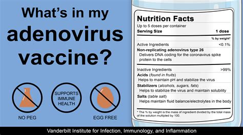 What's in my adenovirus vaccine? | Vanderbilt Institute for Infection ...