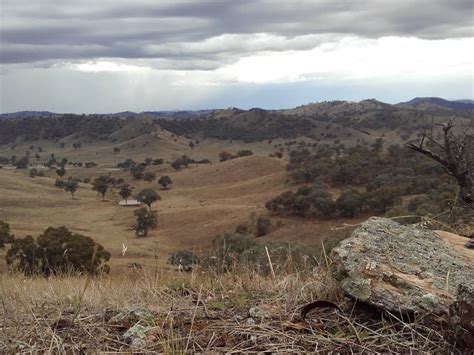 Gundagai Gold Trails | NSW Holidays & Accommodation, Things to Do, Attractions and Events