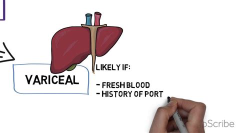 Approach to hematemesis - YouTube