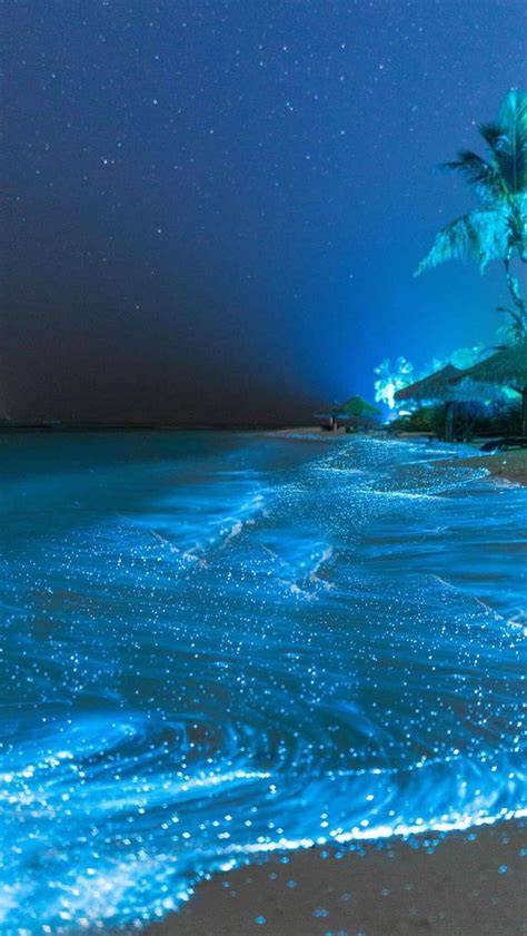 Glowing Beach, Vaadhoo Island in the Maldives | Ocean at night, Dream vacations destinations ...