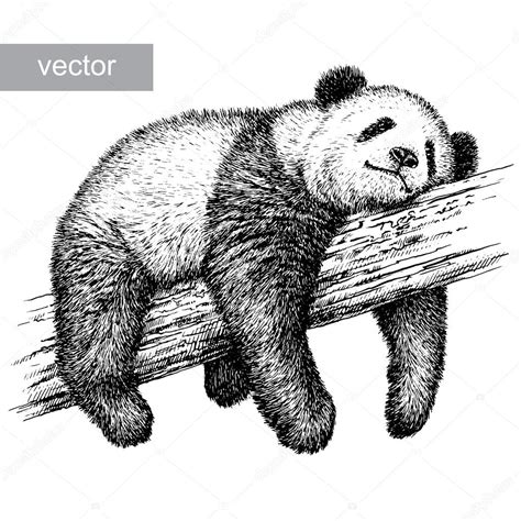 Engrave panda bear illustration — Stock Vector © DoubleBubble #87050942