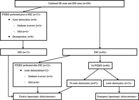 Flow diagram of the laparoscopic cholecystectomy procedure for patients... | Download Scientific ...