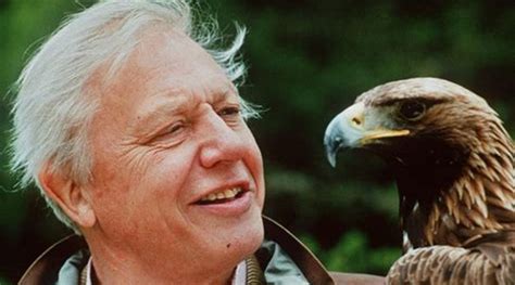 REVIEW: Sir David Attenborough documentary 'A Life On Our Planet ...