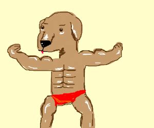 Muscly Dog - Drawception