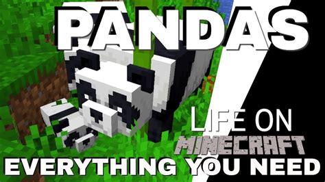 Minecraft Panda Personalities: How to Find Pandas Tame Pandas and Breed Pandas Life on Minecraft ...