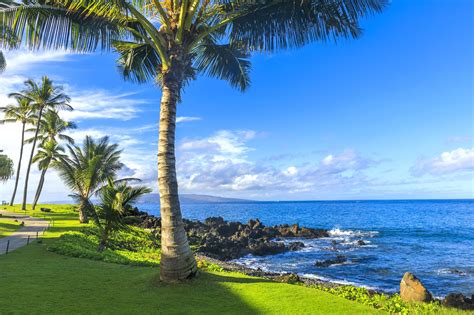 10 Best Beaches in Maui - Which Maui Beach is Right For You? – Go Guides