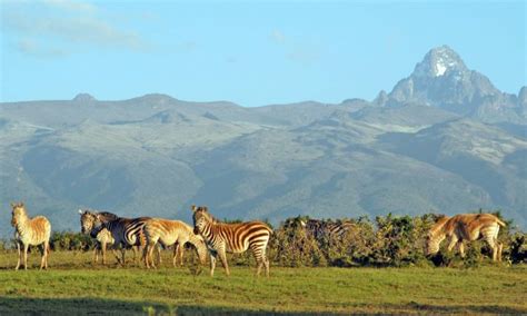 Mount Kenya National Park - Maasai Mara National Reserve