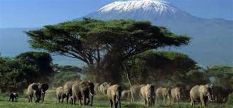 Amboseli National Park Entrance Fee for 2023