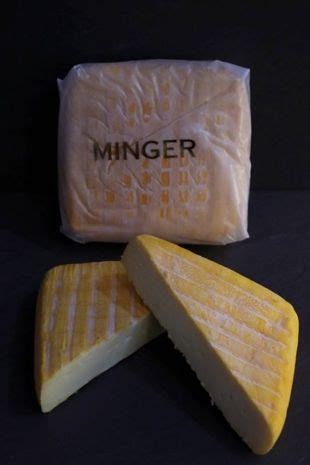 Britain produces 'world's smelliest cheese' using same bacteria as pongy feet | Nestia