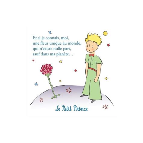 Little Prince Rose Quote - ShortQuotes.cc