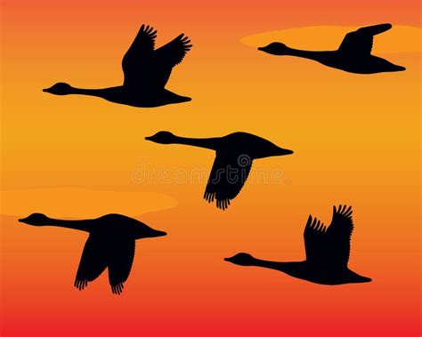 Flock of Geese Silhouettes stock vector. Illustration of flock - 4453114