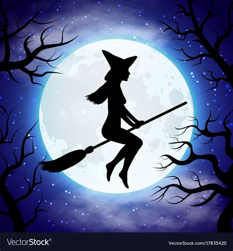 Silhouette of witch flying on the broom in Vector Image