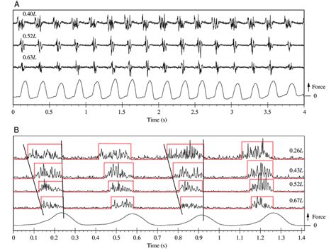 (A) An example of electromyogram (EMG) traces (with no... | Download Scientific Diagram