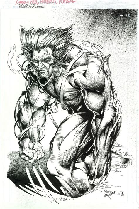 Brandon Peterson - Wolverine, in Whatz His Name's Peterson, Brandon Comic Art Gallery Room ...