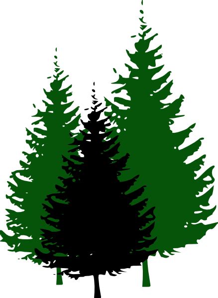 Free Evergreen Tree Images, Download Free Evergreen Tree Images png ...