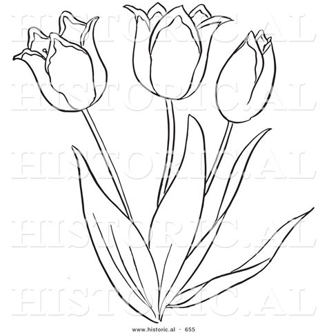 tulip outline clipart 20 free Cliparts | Download images on Clipground 2024