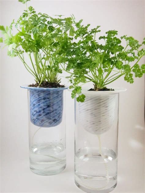 Self Watering Herb Planter